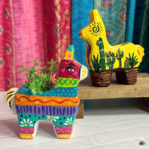 SOLD OUT Piñata planters online class