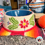 Painted Pet Dish
